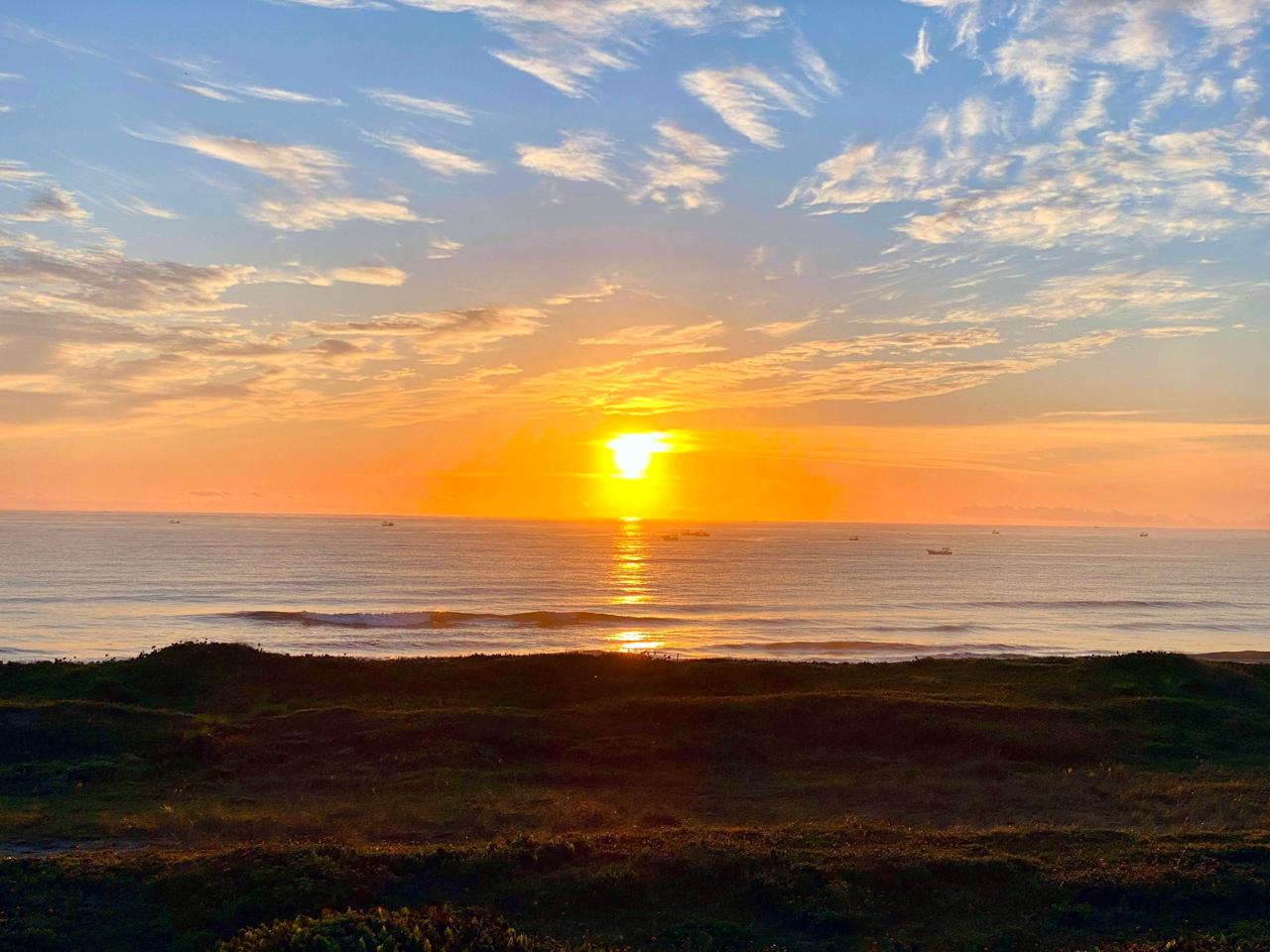 WhatsApp Image 2026-01-21 at 16.33.47 (1)