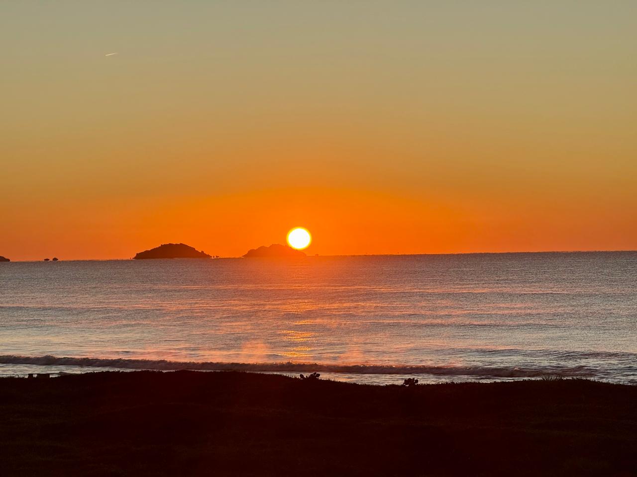 WhatsApp Image 2026-01-21 at 16.33.49 (2)